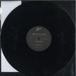 Виниловая пластинка Dead Or Alive - You Spin Me Round (Like A Record) (LP)
