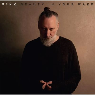 Виниловая пластинка Fink - Beauty In Your Wake