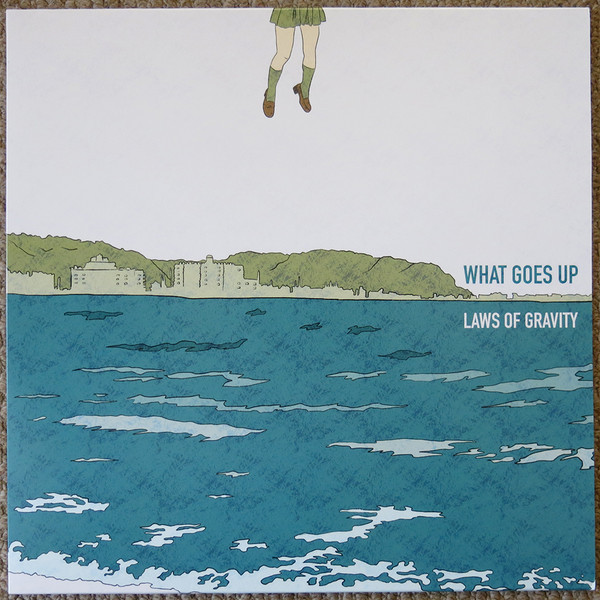 Виниловая пластинка What Goes Up - Laws Of Gravity