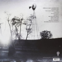 Виниловая пластинка Mary Chapin Carpenter - The Things That We Are Made Of