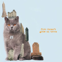 Виниловая пластинка Brian Jonestown Massacre - Fire Doesnèt Grow On Trees