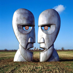 Виниловая пластинка Pink Floyd - The Division Bell (2LP)