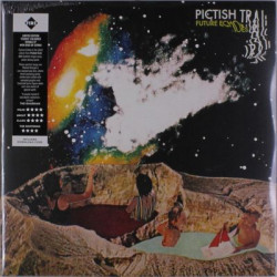 Виниловая пластинка Pictish Trail - Future Echoes