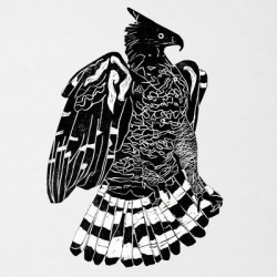 Виниловая пластинка Alpha Steppa X Nai - Jah-Crowned Eagle