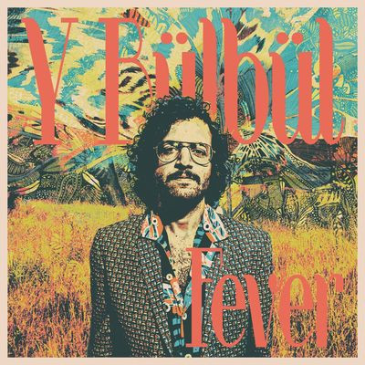 Виниловая пластинка Y Bulbul - Fever
