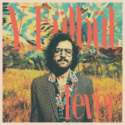 Виниловая пластинка Y Bulbul - Fever