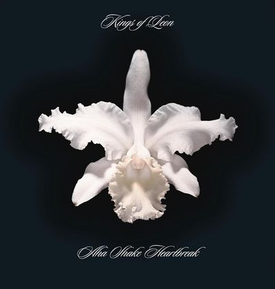 Виниловая пластинка Kings Of Leon - Aha Shake Heartbreak (2LP/Gat/180g)
