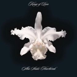 Виниловая пластинка Kings Of Leon - Aha Shake Heartbreak (2LP/Gat/180g)
