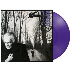 Sanctuary / Into The Mirror Black (1LP Purple Coloured) (LP)