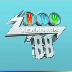 Виниловая пластинка Various Artists - Now - Yearbook 1988 (Vinyl)