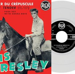 Виниловая пластинка Elvis Presley - Ep Étranger N°11 - Le Cavalier Du Crépuscule Translucent Vinyl