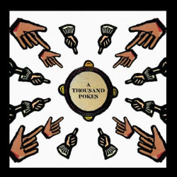 Виниловая пластинка Stick In The Wheel - A Thousand Pokes
