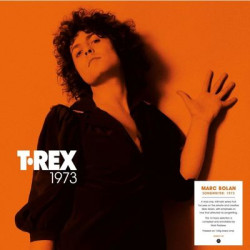 Виниловая пластинка T. REX - Songwriter: 1973 (140g black vinyl)