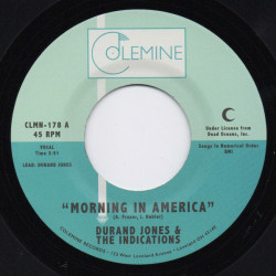 Виниловая пластинка Durand Jones &amp; The Indications - Morning In America / Cruisin' To The Park