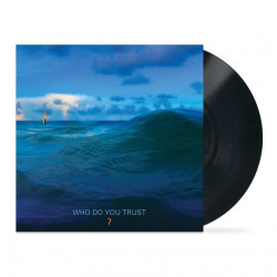 Виниловая пластинка Papa Roach - Who Do You Trust? (LP)