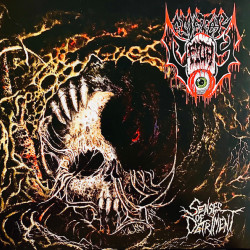 Виниловая пластинка Cemetery Filth - Senses Of Detriment
