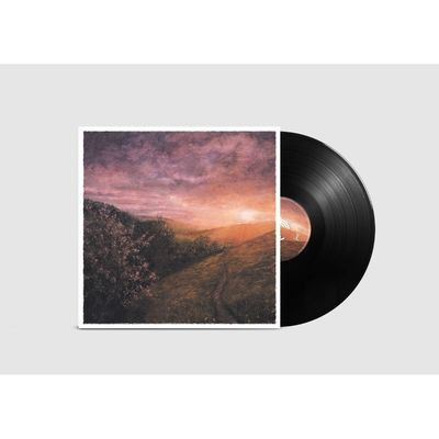 Виниловая пластинка Sam Sweeney & Grace Smith - Morning Of May (LP)