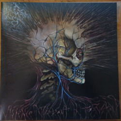 Виниловая пластинка Noxis - Violence Inherent In The System