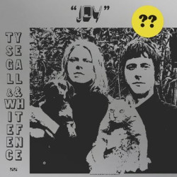 Виниловая пластинка Ty Segall &amp; White Fence - Joy