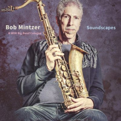 Виниловая пластинка Bob Mintzer &amp; Wdr Big Band - Soundscapes