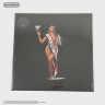 Виниловая пластинка Beyonce - Cowboy Carter (2LP)