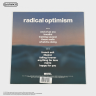 Виниловая пластинка США Dua Lipa - Radical Optimism (LP) Red