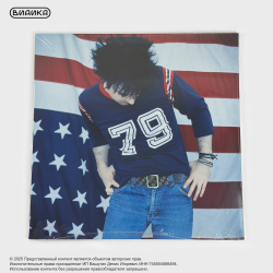 Виниловая пластинка Ryan Adams - Gold (2LP)