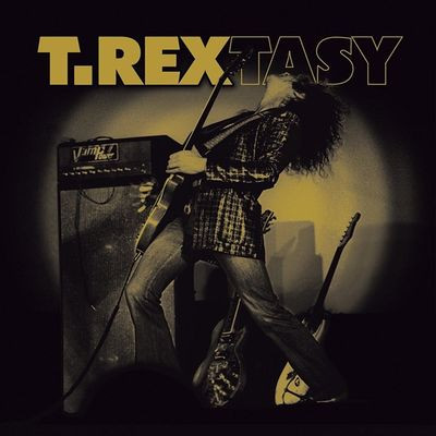 Виниловая пластинка T.Rex - T Rextasy