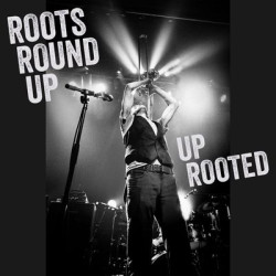Виниловая пластинка Roots Round Up - Up Rooted