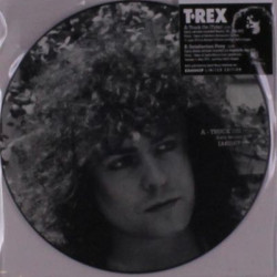 Виниловая пластинка T Rex - Truck On (Pic Disc)