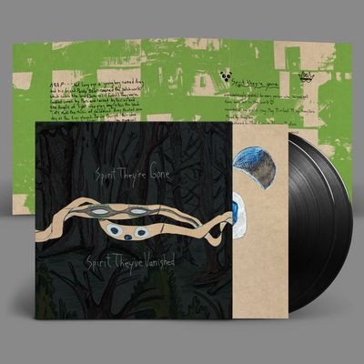Виниловая пластинка Animal Collective - Spirit They're Gone, Spirit They've Vanished