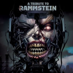 Виниловая пластинка Various Artists - A Tribute To Rammstein (серебряный винил)
