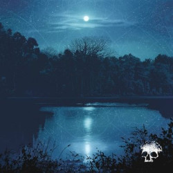 Виниловая пластинка Planes Mistaken For Stars - Do You Still Love Me?