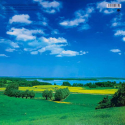 Виниловая пластинка David Bowie - Earthling (LP)