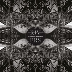 Виниловая пластинка Wildbirds And Peacedrums - Rivers