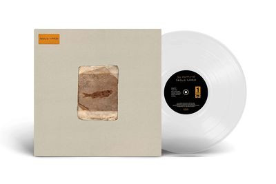 Виниловая пластинка Do Nothing - Friend World (Milky Clear Vinyl) (LP)
