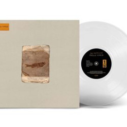Виниловая пластинка Do Nothing - Friend World (Milky Clear Vinyl) (LP)