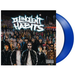 Виниловая пластинка Delinquent Habits - Delinquent Habits (2LP Coloured)