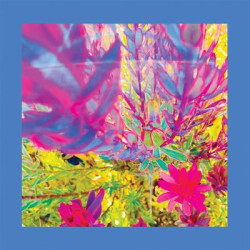 Виниловая пластинка The Reds Pinks And Purples - The Past Is A Garden I Never Fed