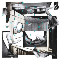 Виниловая пластинка Conquering Animal Sound - On Floating Bodies