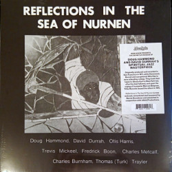 Виниловая пластинка Doug Hammond &amp; David Durrah - Reflections In The Sea Of Nurnen