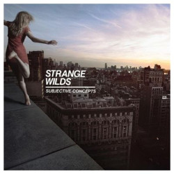 Виниловая пластинка StrangeWilds/SubjectiveConcepts