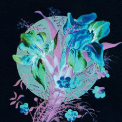 Виниловая пластинка Karjalainen Hannu - A Handful Of Dust Is A Desert