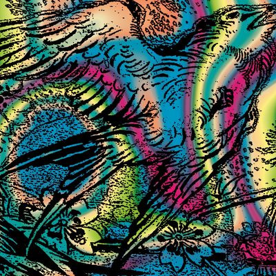 Виниловая пластинка Various Artists - One Swallow Doesnt Make A Sum (2022)