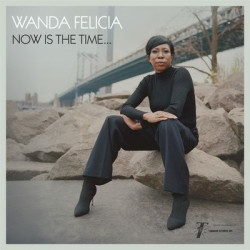 Виниловая пластинка Wanda Felicia &amp; Cold Diamond &amp; Mink - Now Is The Time