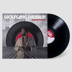 Виниловая пластинка Wolfgang Valbrun - Flawed By Design