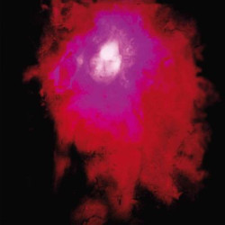 Виниловая пластинка Porcupine Tree - Up The Downstair ( 2 Lp 140Gram Gatefold Sleeve )