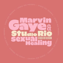 Виниловая пластинка Marvin Gaye &amp; Studio Rio - Sexual Healing