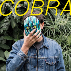 Виниловая пластинка Francois Club - Cobra