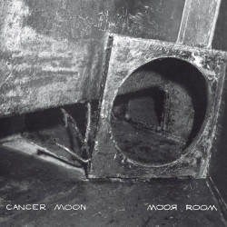 Виниловая пластинка Cancer Moon - Moor rooM